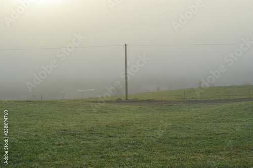 Electricity tower pylon in thick fog in a meadow with green grass