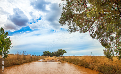 Flooded street in the outback at Dubbo Australia