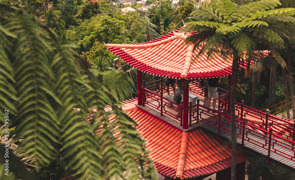 Obraz premium Botanischer Garten Monte Palace auf Madeira