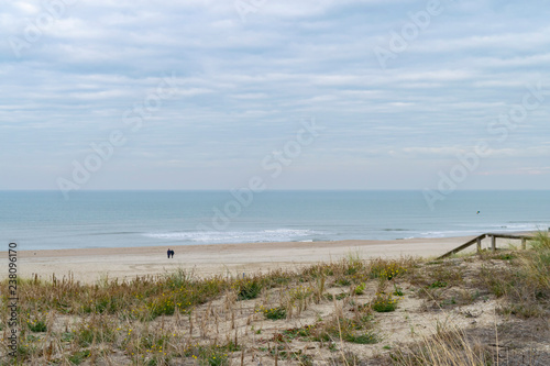 Dutch seascape with dunes, coastline and calm blue sea. Sand dunes on the coast with seaside grass Ammophila arenaria. A deserted beach on the North Sea coast in the cold season. 