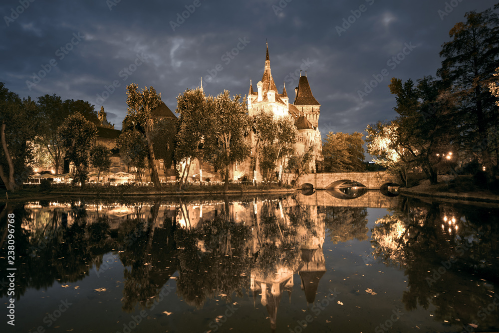 Vajdahunyad castle reflected in the water at night