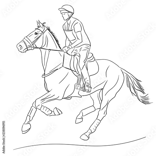 Equestrian event. Horseman cantering on a horse.