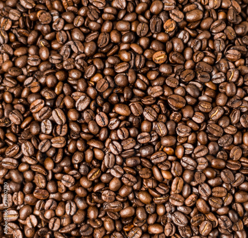 Brown roasted coffee beans  seed on dark background. Espresso dark  aroma  black caffeine drink. Closeup isolated energy mocha  cappuccino ingredient.