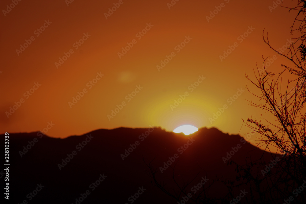 Fototapeta premium atardecer