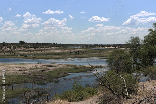 Landscape at Boteti River, Makgadikgadi National Park, Botswana, Africa