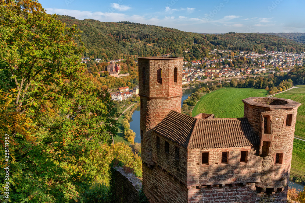 Blick über die Burg Schadeck auf Neckarsteinach am Neckar