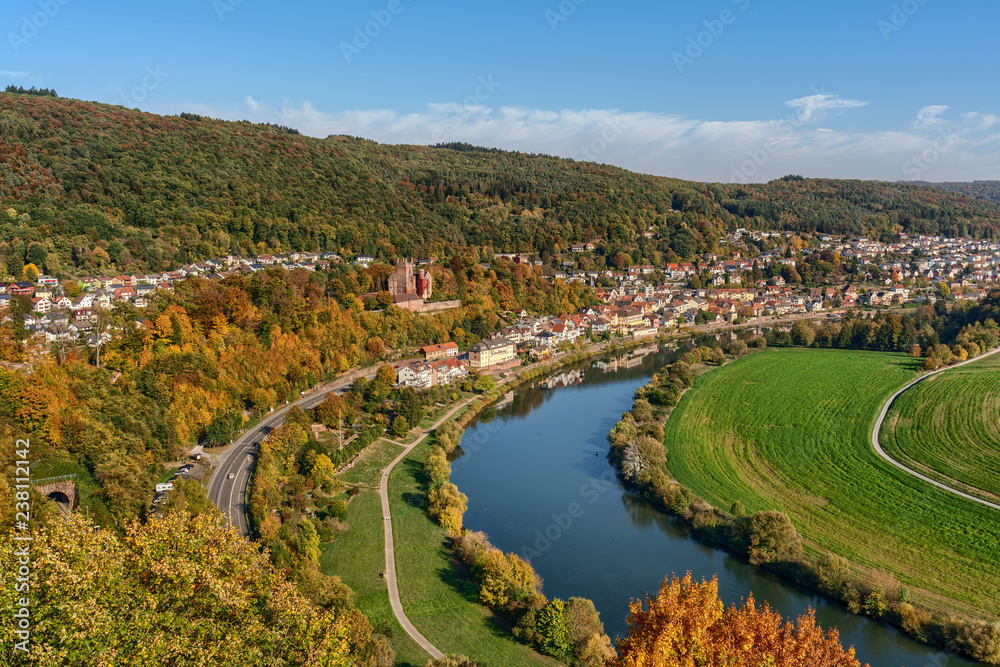 Blick auf Neckarsteinach und den Neckar nahe Heidelberg - obrazy, fototapety, plakaty 