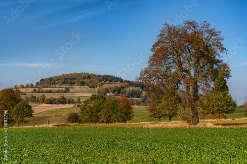 Blick auf den Katzenbuckel den höchsten Berg des Odenwaldes photo