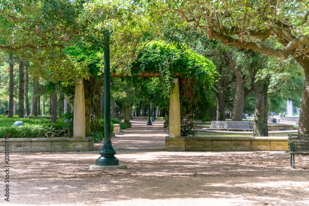 Obraz premium alley in the park