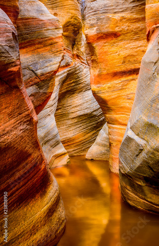 Box canyon in Zion National Park