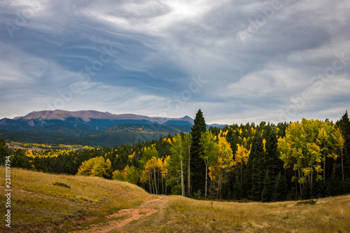 Autumn colors with menacing sky