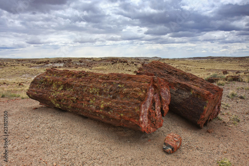 Large petrified wood trunks under gathering storm clouds in Petrified Forest National Park, Arizona. photo