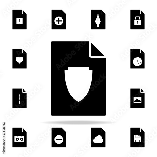 shield on document icon. File and documents icons universal set for web and mobile