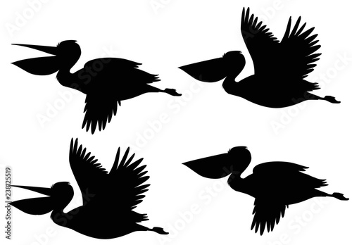 A set of silhouette pelican