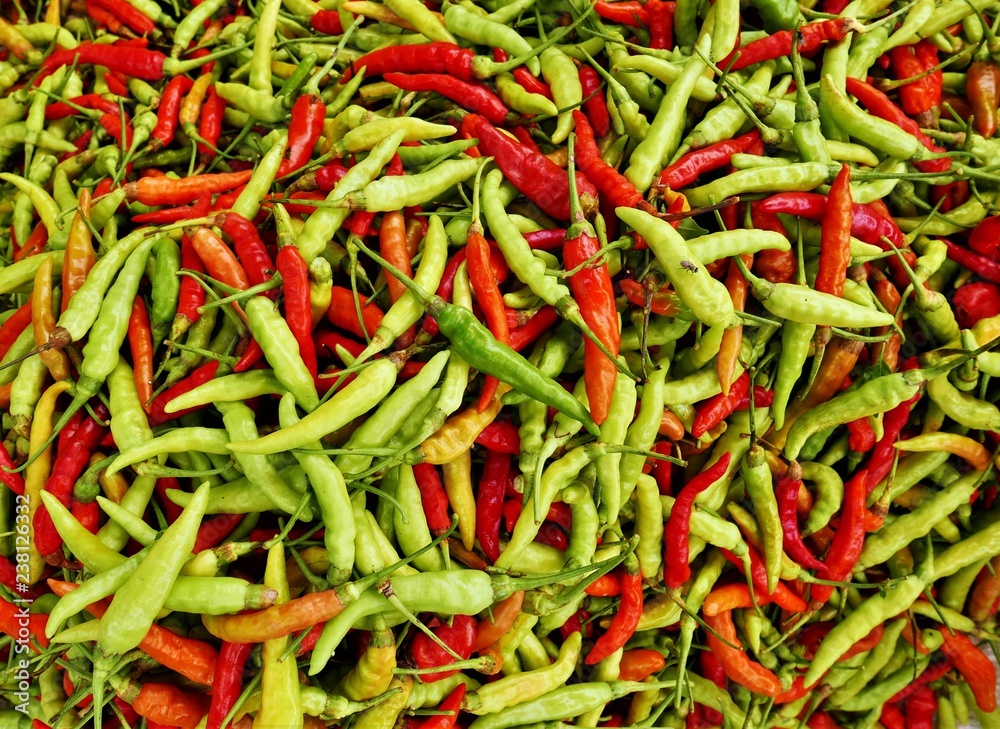 Red and green chili papers