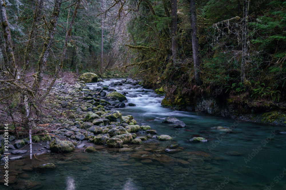 Obraz premium Quilcene River