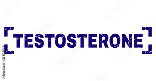 TESTOSTERONE tag seal print with grunge texture. Text title is placed inside corners. Blue vector rubber print of TESTOSTERONE with dirty texture.