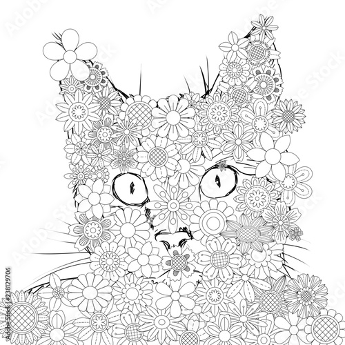 Wallpaper Mural Sugar Cat Torontodigital.ca