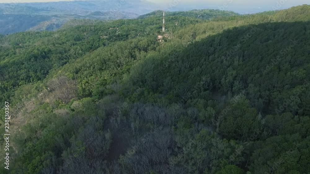 aerial view of forest aerial view of forest