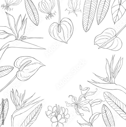 Vector background with hand  drawn tropical flowers.  Sketch illustration