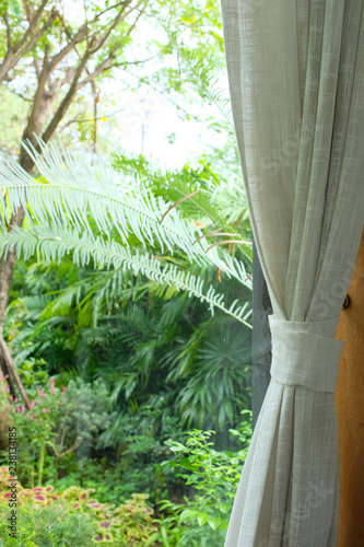 White curtain and window in a house with green garden background