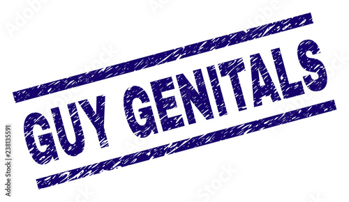 GUY GENITALS seal print with scratced style. Blue vector rubber print of GUY GENITALS tag with dust texture. Text tag is placed between parallel lines.