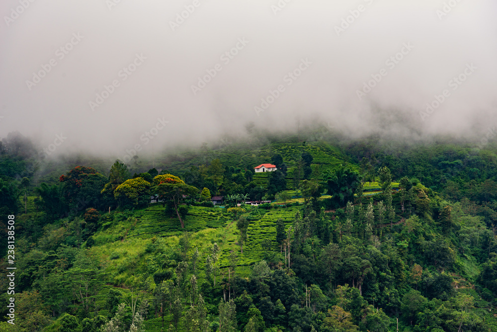 Fototapeta premium Beautiful house above the mountain