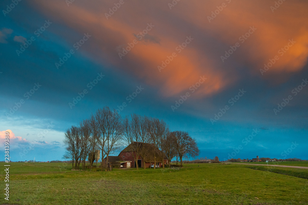 Fototapeta premium A tradiitonal Frisian farm, in the county side on a spring evening during magic hour.