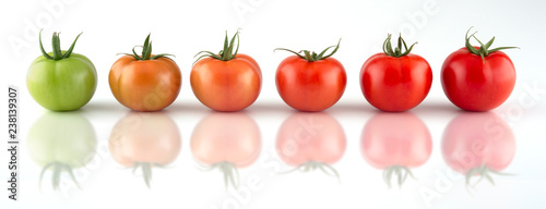 Fototapeta Naklejka Na Ścianę i Meble -  Evolution of red tomato isolated on white background