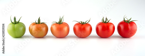 Evolution of red tomato isolated on white background