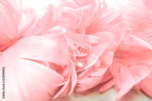 sweet color in soft blur style for background.