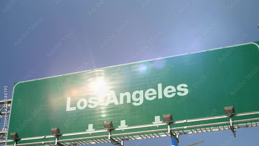Airplane Landing Los Angeles