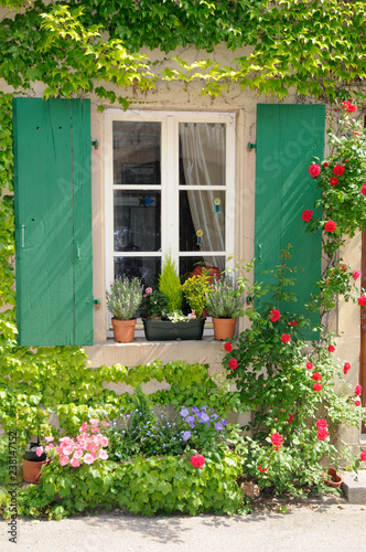 Blumenfenster in Riquewihr