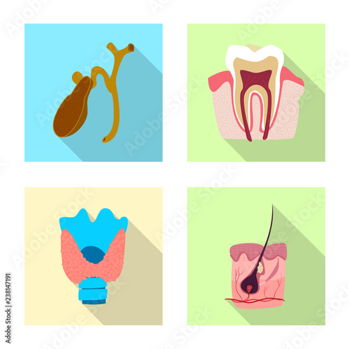 Vector illustration of body and human symbol. Set of body and medical stock symbol for web.