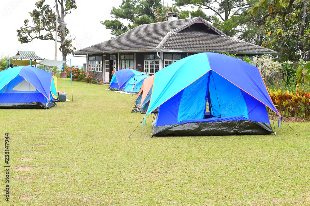 Tents Camping area, early morning, beautiful natural place Tents Camping area, early morning, beautiful natural place
