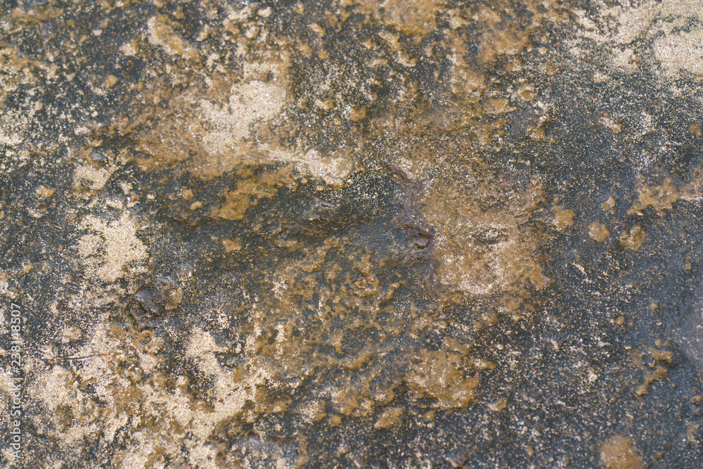 Gran Canaria Island seabed texture