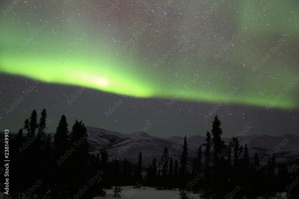 Fairbanks, Alaska, the northern light, beautiful and amazing aurora in the night sky