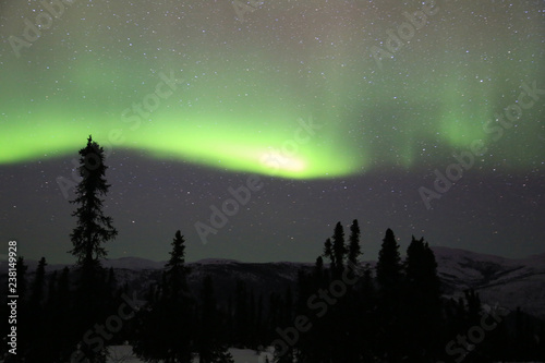 Fairbanks  Alaska  the northern light  beautiful and amazing aurora in the night sky