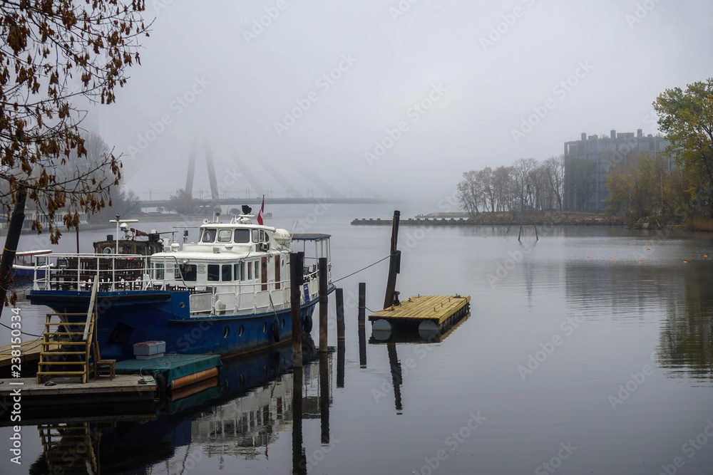 boats in the harbor