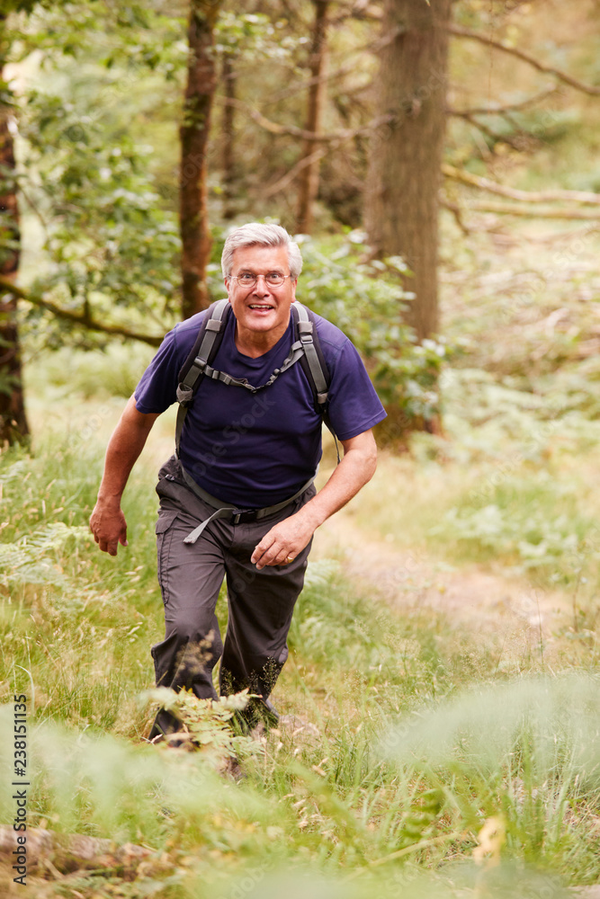 Fototapeta premium Middle aged man with a backpack hiking in a forest looking at camera, elevated front view, full length