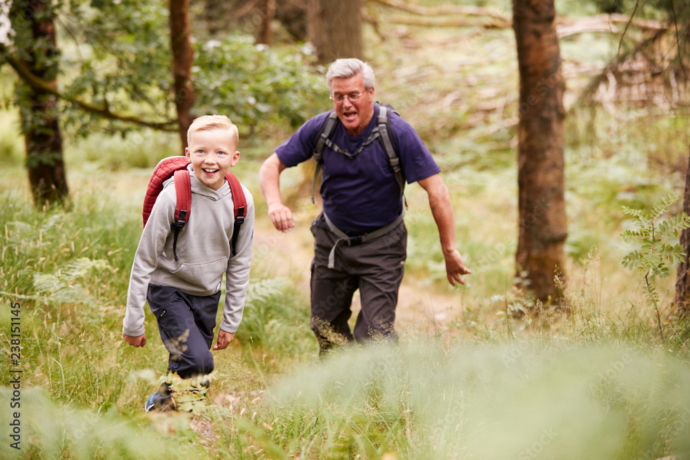 Grandfather and grandson hiking in a forest amongst greenery, selective focus