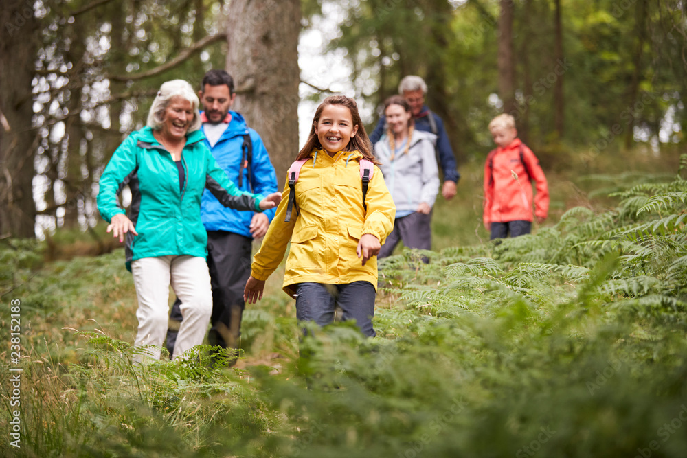 Multi generation family walking downhill on a trail in a forest during a camping holiday, Lake District, UK