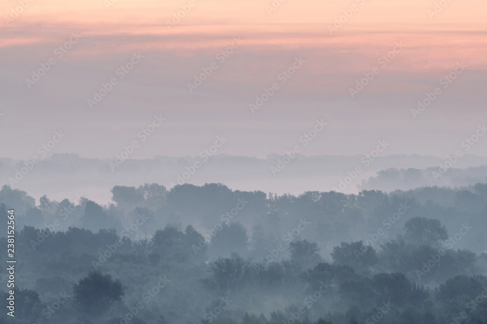 Mystical view on forest under haze at early morning. Eerie mist among layers from tree silhouettes in taiga under predawn sky. Atmospheric minimalistic landscape of majestic nature in faded blue tones