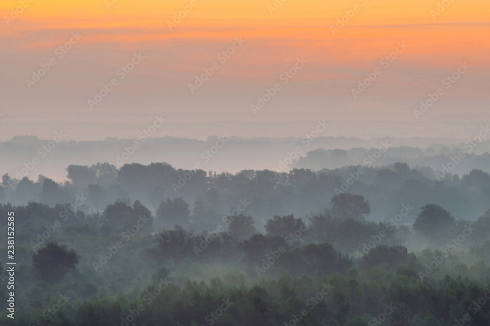 Mystical view from top on forest under haze at early morning. Mist among layers from tree silhouettes in taiga under warm predawn sky. Morning atmospheric minimalistic landscape of majestic nature. Mystical view from top on forest under haze at early morning. Mist among layers from tree silhouettes in taiga under warm predawn sky. Morning atmospheric minimalistic landscape of majestic nature.