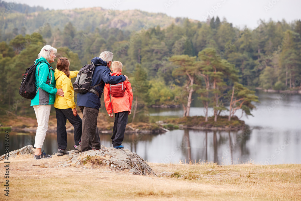 Grandparents and grandchildren standing on a rock admiring the view of a lake, back view, Lake District, UK