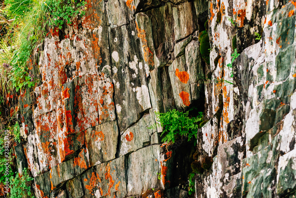 Mossy orange rocky layered surface of mountain with rich vegetations of