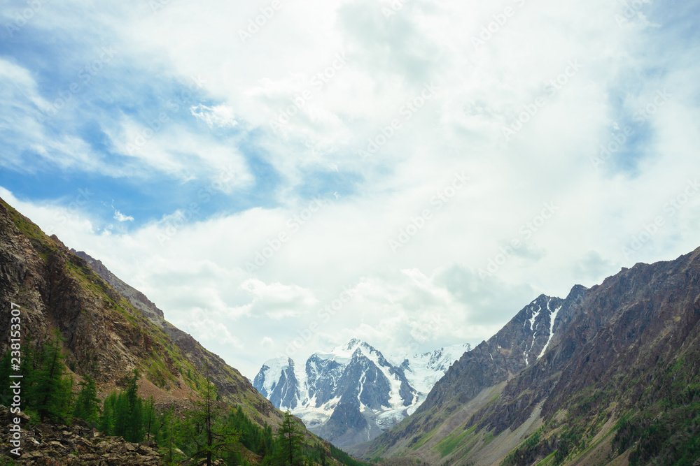 View on wonderful glacier behind giant mountains. Snowy mountain range. Huge amazing rocky mountain with snow on top. Coniferous trees. Atmospheric landscape of majestic nature of highlands.