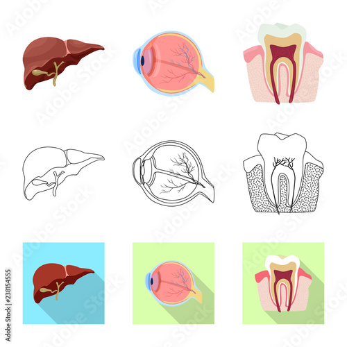 Vector design of body and human logo. Set of body and medical stock symbol for web.