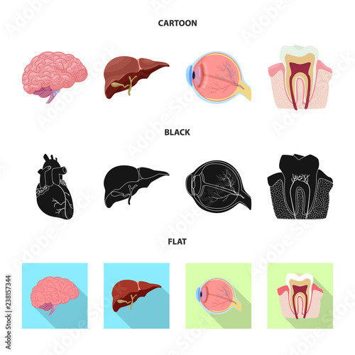 Vector design of body and human sign. Set of body and medical vector icon for stock.