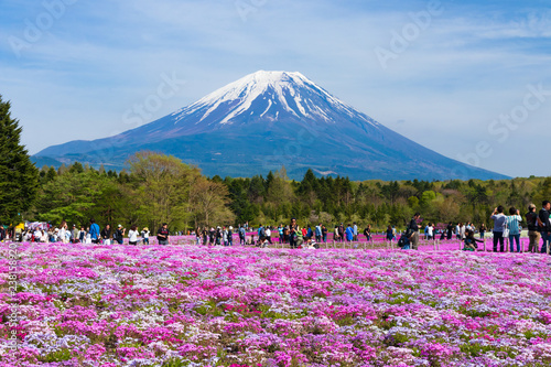 Fuji-Yama Images – Browse 54 Stock Photos, Vectors, and Video